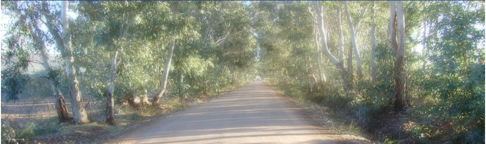 Centro de psicologia en Linares. Ana Maria Lopez Lorente, psicologa - sexologa